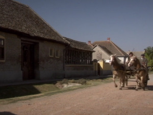  1001 Траг - Књигу пишу гусињске девојке - Ксенија Цицварић 