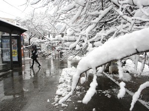 Повремени снег у Србији и најхладнији дани од почетка зиме