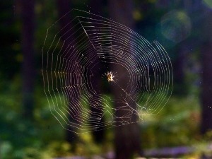 Маргарет Милар: Она