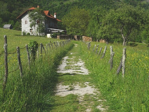  1001 Траг - Руговски одјек - Божидар Боки Милошевић 