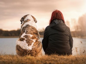 Миодраг Богић: О нежности и свирепости