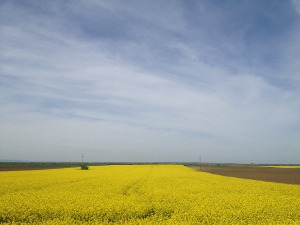 	Фолдер Србија: Стара писма