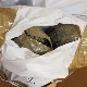 Заплењено 10 килограма марихуане у Суботици, ухапшене две особе