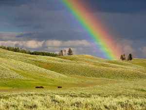  Добро јутро децо - Непажња 