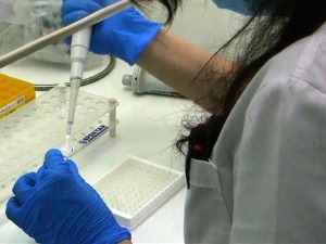 Медицински факултет у Београду: Изоловали смо британски сој коронавируса