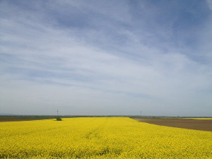  Фолдер Србија: Најлепше речи српског језика 