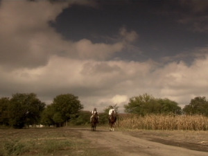  1001 Траг - Један стари контрабас - Звонко Богдан 