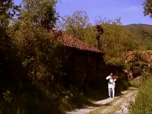  1001 Траг - Цигански табор - Оливера Марковић 