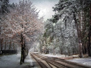 Јануар одлази с кишом и снегом