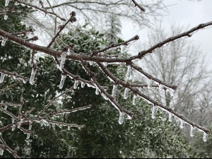 Фебруар на северу почиње леденом кишом, на југу скоро пролеће