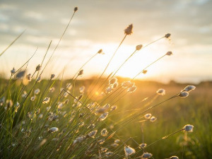  Добро јутро децо - Добри ветар 