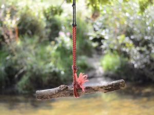 	Радио драма: Доживљаји Гурија Шарановића Сома, завршни део 