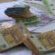 Шверцери не одустају упркос пандемији – значајне заплене на Градини