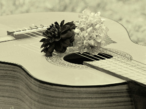 Гитариста Андрес Сеговија