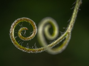  Добро јутро децо - Брката прича 