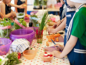 Шегртска шушкања: Калемљење 1. део