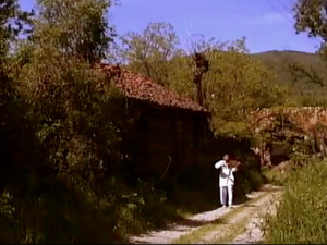  1001 Траг - Ја млад пијем ноћи - Недељко Билкић 