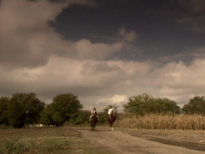  1001 Траг - Која гора Иво - Раша Павловић 