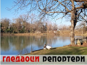 Гледаоци репортери (17. фебруар 2021)
