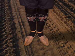  1001 Траг - Бојерка - Властимир Павловић Царевац 