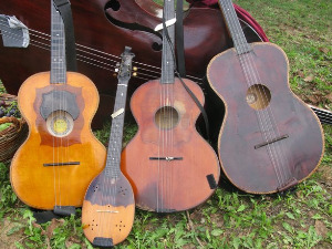 Тамбурица златна жица