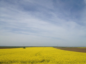  Фолдер Србија: Први џубокс апарати 