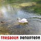 Гледаоци репортери (21. фебруар 2021)