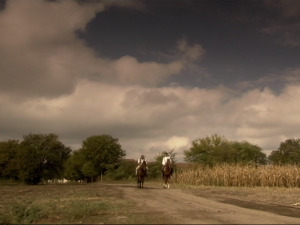  1001 Траг - До два коња - Звонко Богдан 