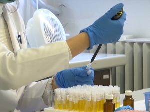 Када је право време да проверите број антитела, у чему се разликују вакцине – која за којом "касни"