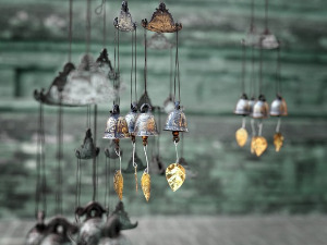  Добро јутро децо - Чаробни шум 