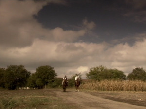 1001 Траг - Плућа су ми болна - Бора Спужић Квака