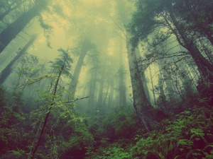  Добро јутро децо - Песници и чудно створењце 