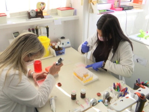 Зашто су антитела "врх леденог брега" и колико треба да их имамо