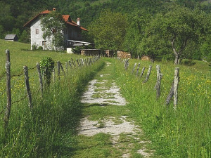  1001 Траг - Село моје крај Мораве - Новица Неговановић 