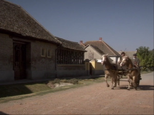  1001 Траг - Ја не могу мила мајко без њега - Гордана Стојићевић 