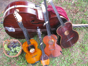 Тамбурица златна жица