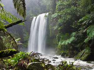 Природа као инспирација