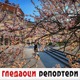 Гледаоци репортери (12. март 2021)