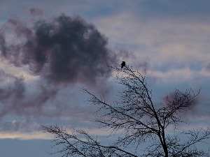 Стигло пролеће, али као да није – хладно време за последњи дан викенда