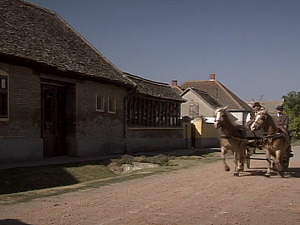  1001 Траг - Девојка соколу зулум учинила - Драгомир Мајкић 