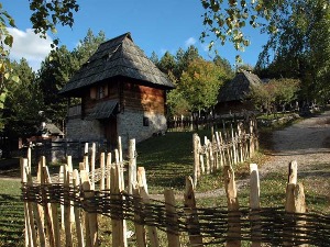 Златно време Сирогојна