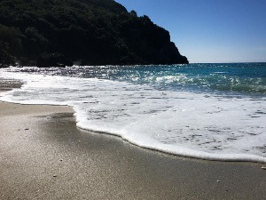 Грађани Србије могу у Грчку од маја, незванично сазнаје РТС