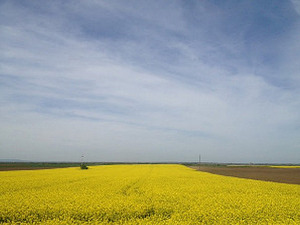 	Фолдер Србија: Почеци развоја школства
