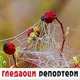 Гледаоци репортери (18. април 2021)