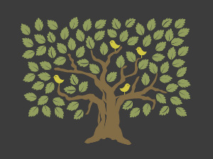  Добро јутро децо - Три брата 