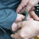 Ухапшен Шапчанин који је маскиран упао у кућу, везао двоје људи и тражио им новац