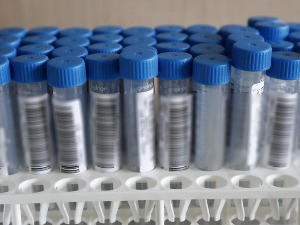 У Црну Гору из Србије и даље без пи-си-ар теста