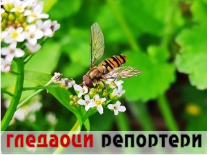 Гледаоци репортери (26. април 2021)