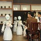 Усамљена силиконска срца – да ли су хуманоидни роботи гурнути у запећак