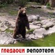 Гледаоци репортери (29. април 2021)